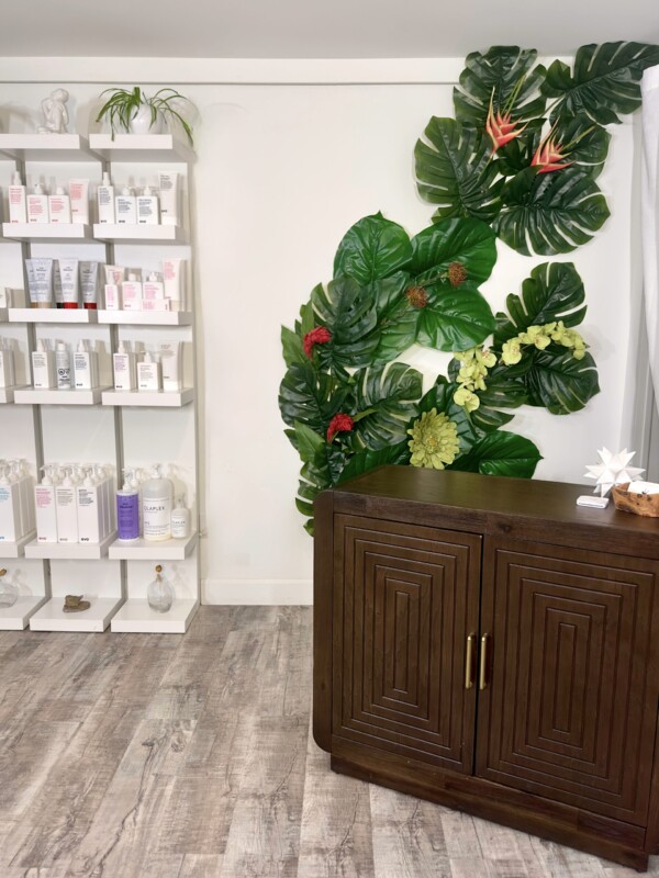 Photo of the studio showing a desk, shelf with beauty products, and lush tropical plant.